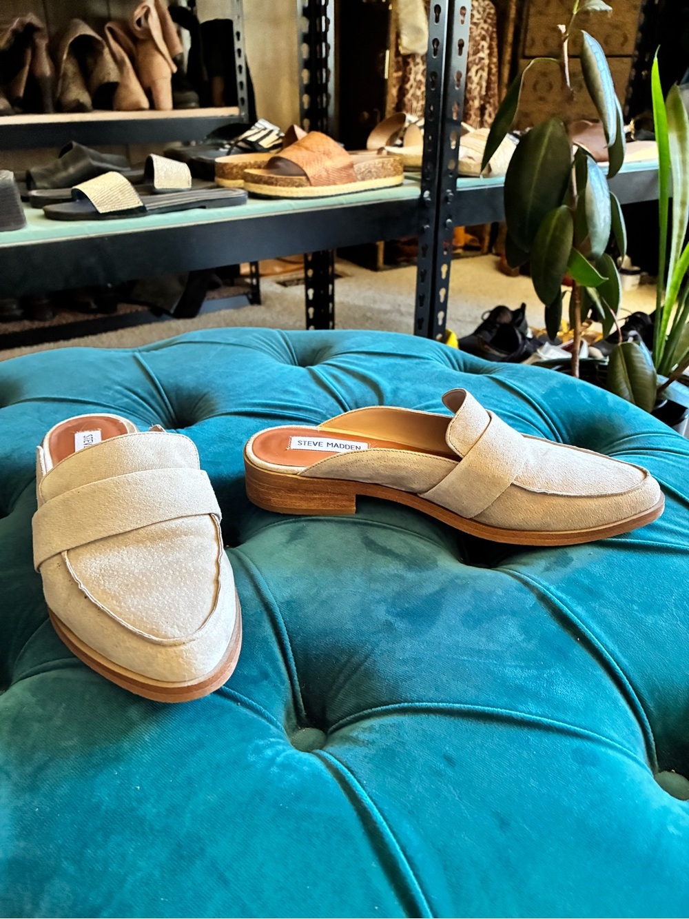 Steve Madden Beige Suede Backless Penny Loafers